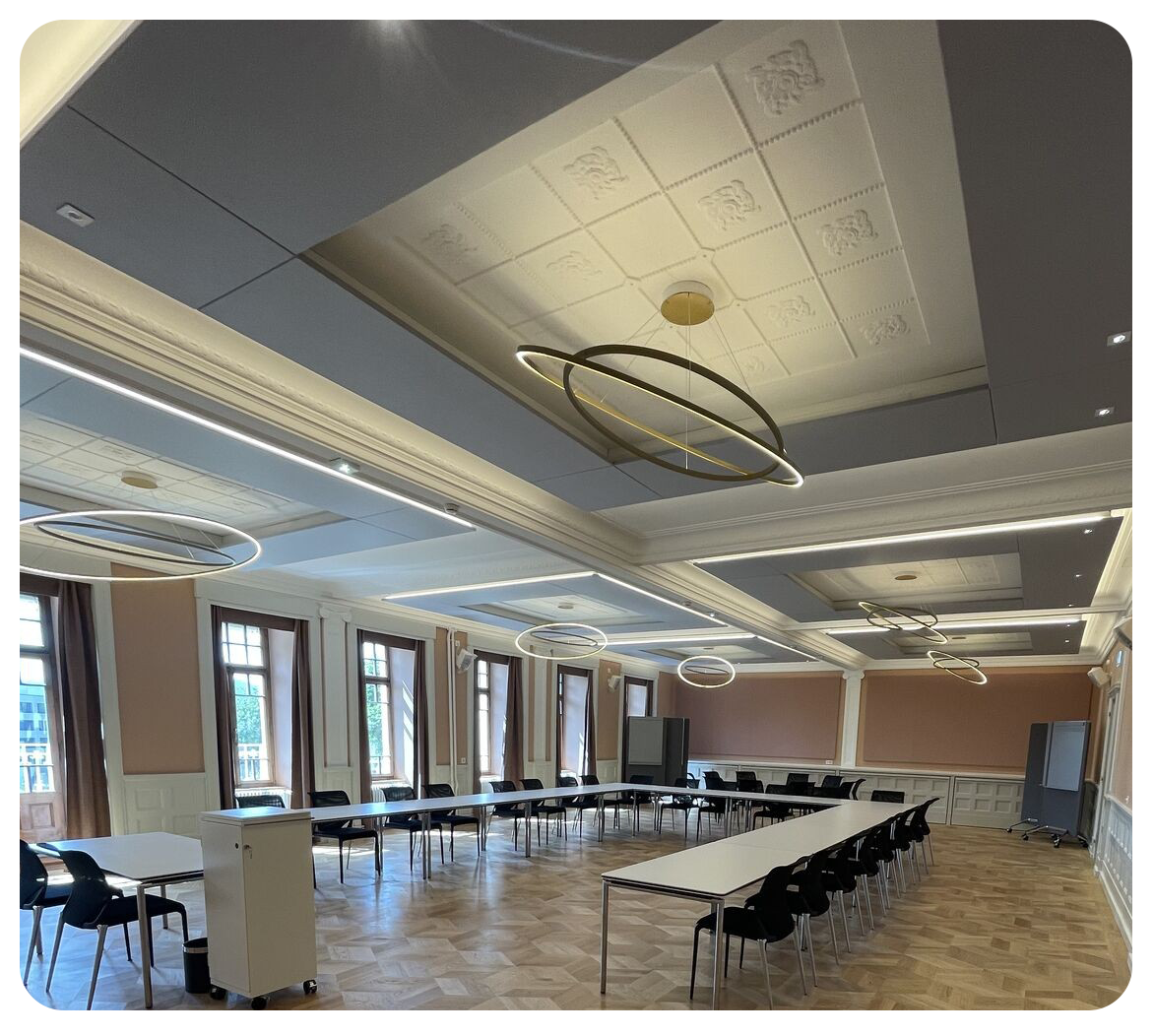 Hotel Schutzen Rheinfelden conference room with acoustic solutions