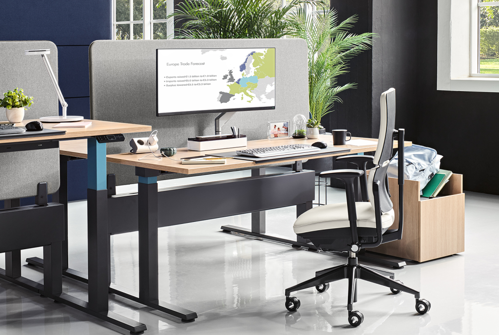 Embracing Ergonomics for a Healthier and More Productive Workplace